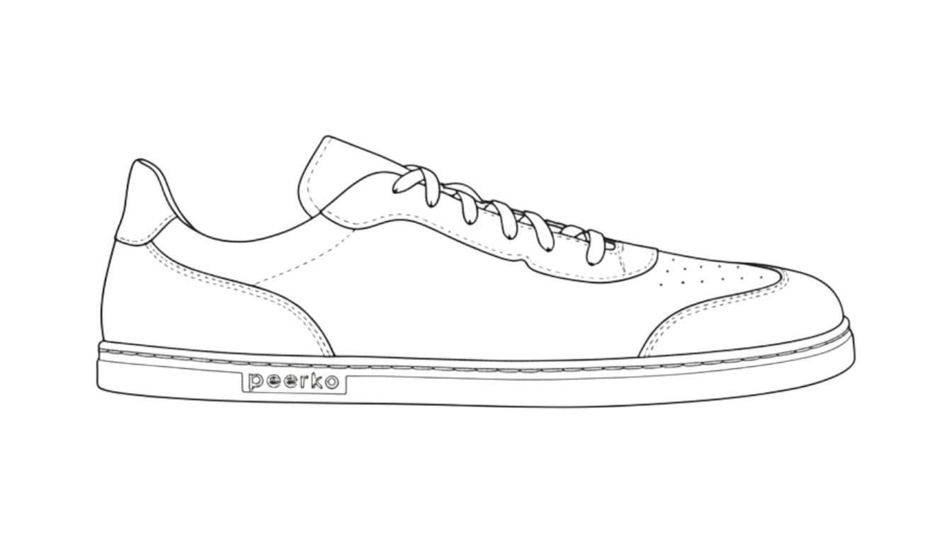Outline illustration of the Drift model