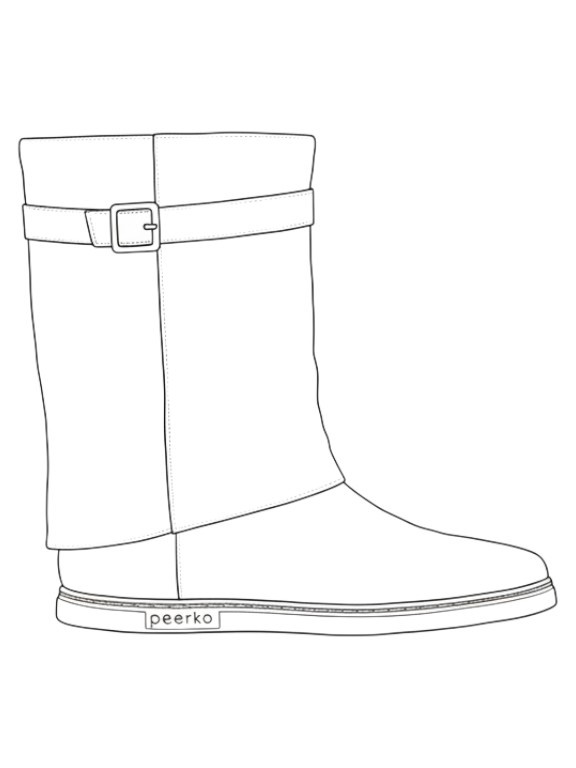 Outline illustration of the Eve model
