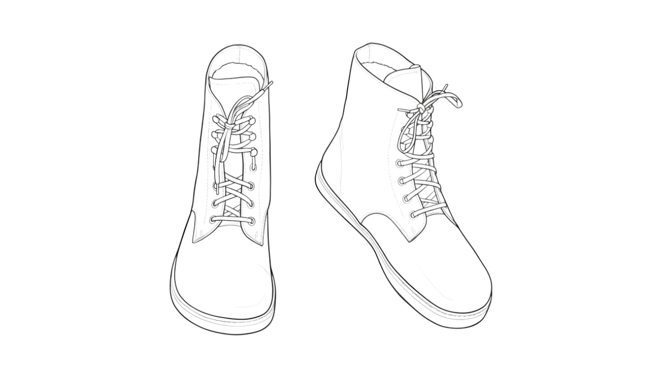 Outline illustration of the Frost model
