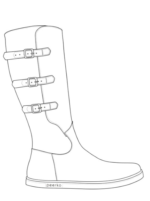 Outline illustration of the Joana model
