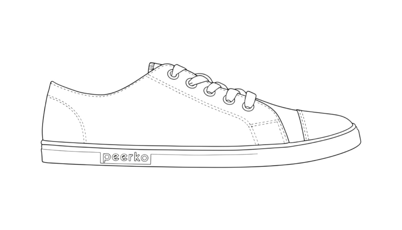 Outline illustration of the Origin model