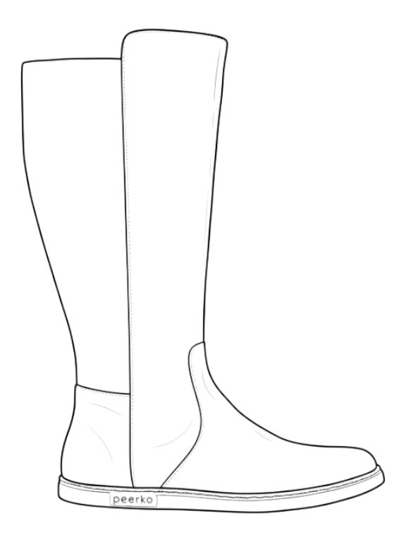 Outline illustration of the Regina II model