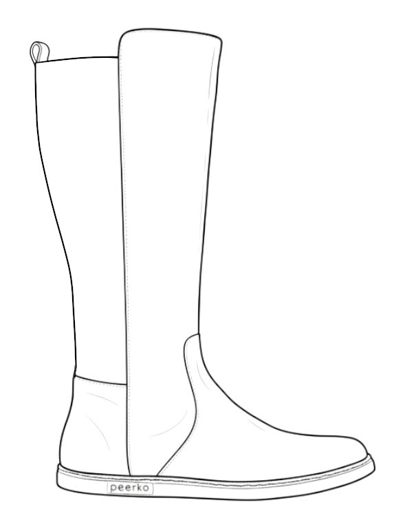 Outline illustration of the Regina II N model
