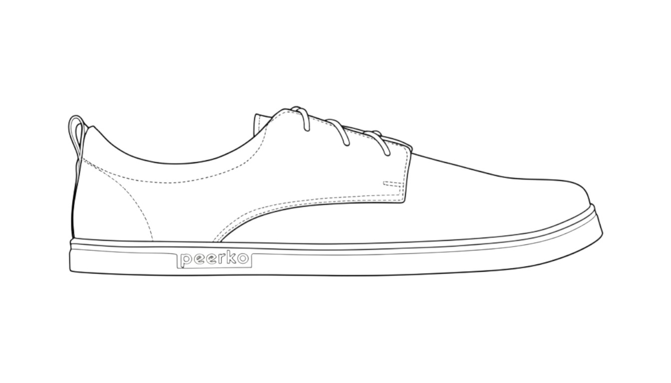 Outline illustration of the Smart model